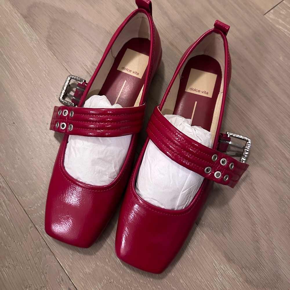 Dolce Vita  Arora Ballet Flats - NWT